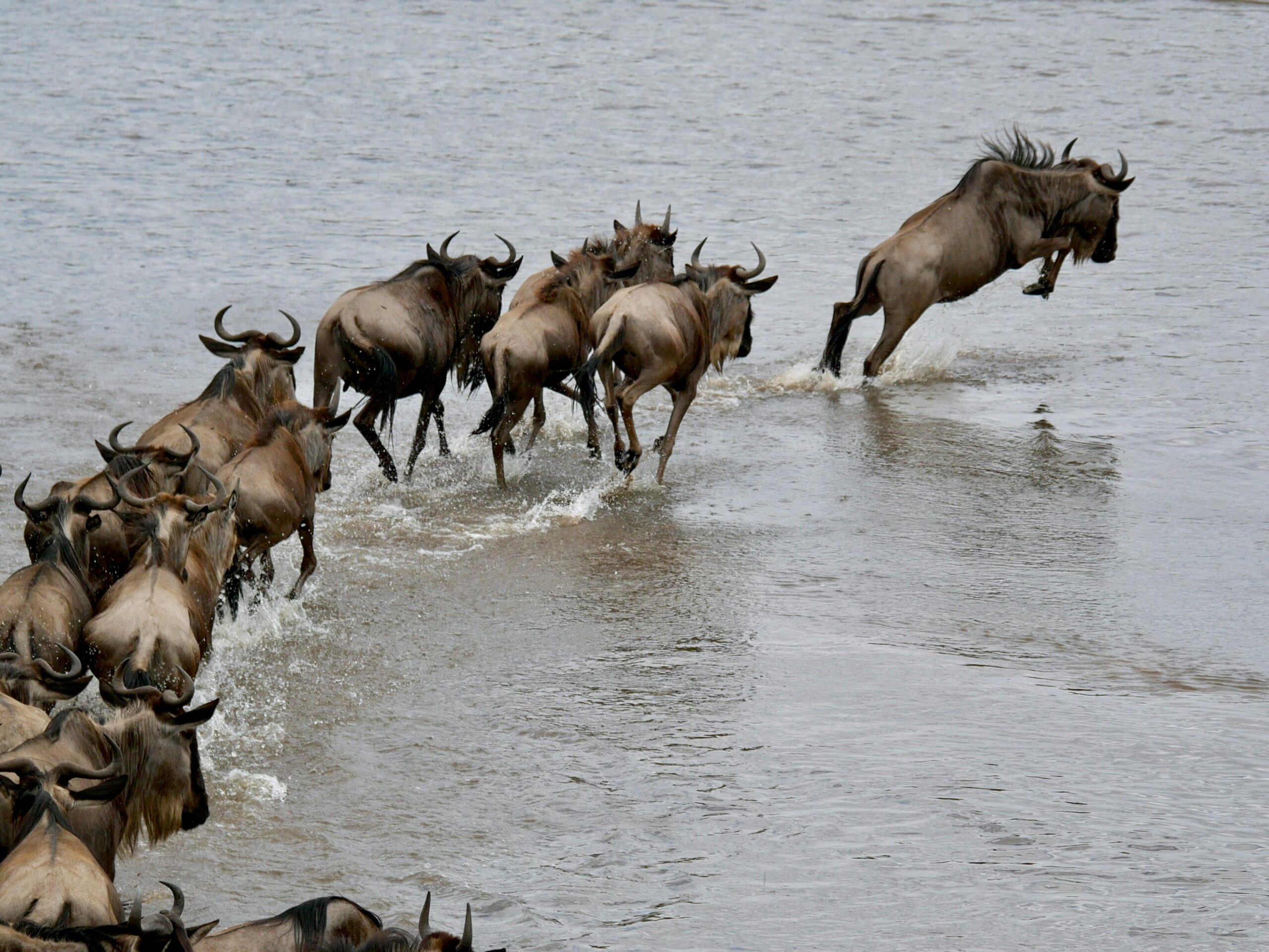 Serengeti National Park