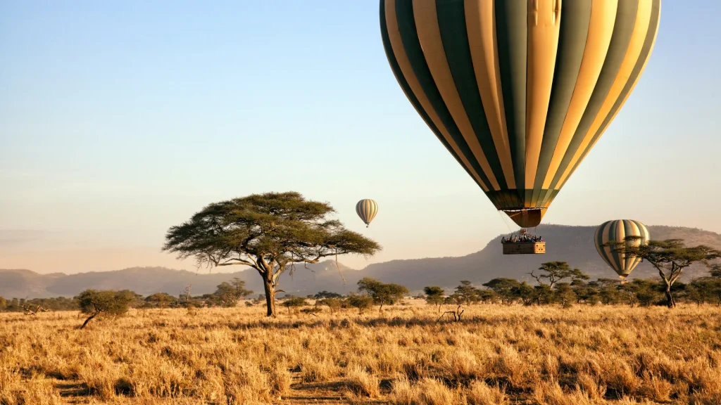 6 Days Tarangire, Serengeti, Ngorongoro & Lake Manyara Budget Camping Safari