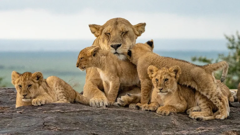 Serengeti National Park