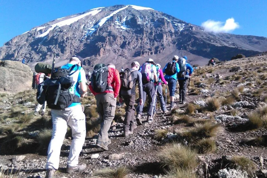 Shira Plateau Day Hike – Kilimanjaro’s High-Altitude Adventure