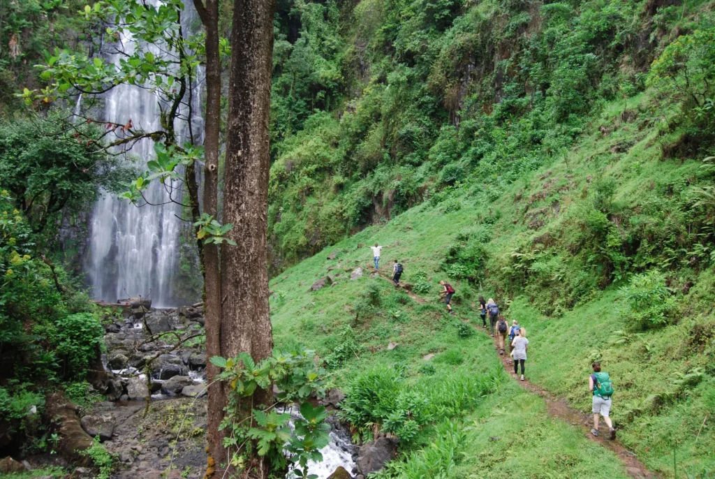 Materuni Waterfall & Chagga Coffee Experience Day Trip
